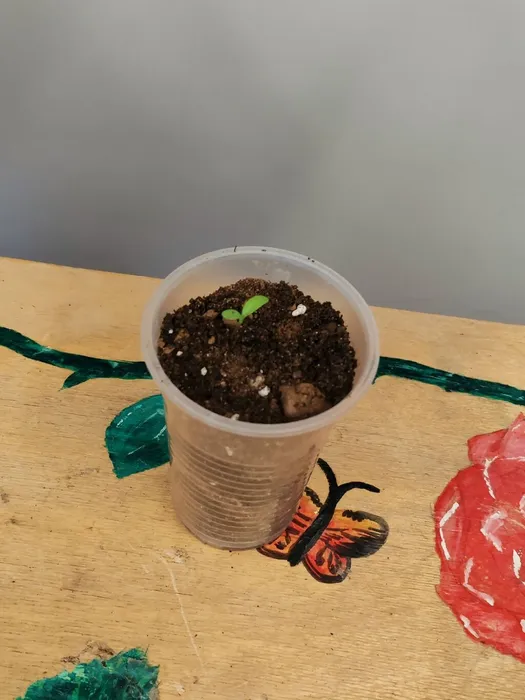 hTuhAgFWRn9hk6TykdUlRj9g4Pcz4PQKNh5JGwxGk67VHnSIG6W_pqJsS6Z64bYu7QFJG-H5bjtJ7eKPc3L8yevt