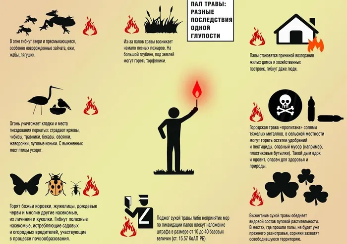jCCq29VL-DxcrfhHOmPNgK-LAu96Zu92ymj97hF1KD7XIWAq9EG4ZRp7Ug5nwJKJOvLULaK7f3Sp8va2-qU3nA20