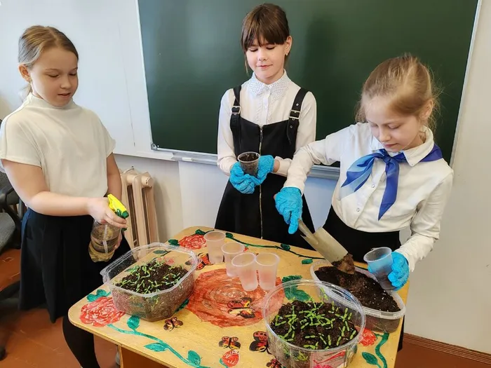 qTVlNBmzx1AW-_MInLvDeApTv1fmd8cuUrKvV56QQb9czqX_saYmDVdHA8oXEDpIPIi9WEO3UMyb_xDMlH64LTcL