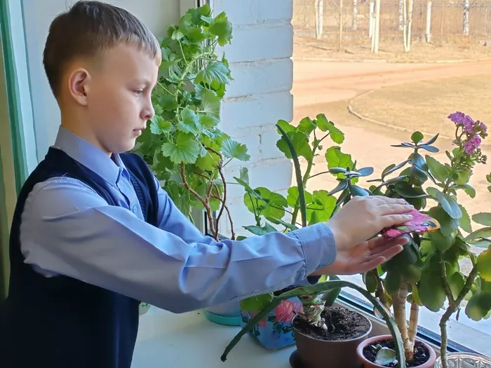 4fFJik49n3W0Zqx1MipjD8EvKvmV8PCSABt3_tcPd71ExlG8SugeUilyGvrTwPdLHg3c20y98s1AaWEpd0IlzXdm