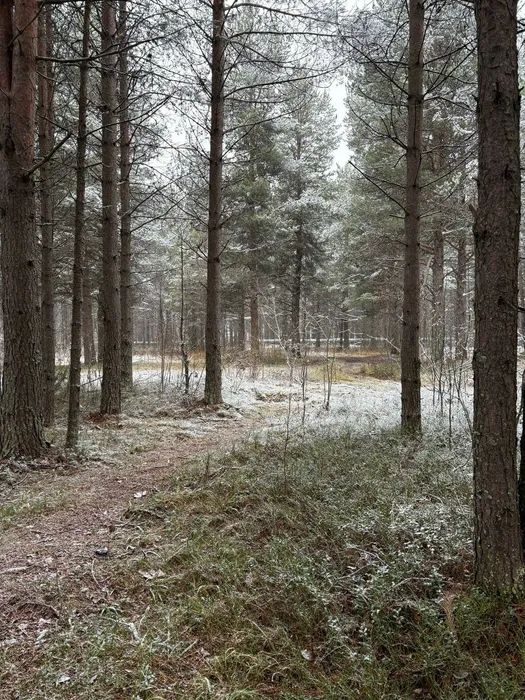 BsR-PbnKkSosLaHHvNsSfeEsl668tKsto38eqrNgDHttJSZT9Xx1He_ogyYBoDbovH5YYarfJtKEBLpJQgyKiRfH