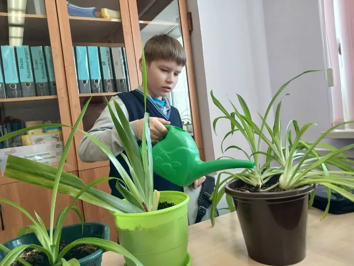 1_W6ae01ELtEqq_iLcOznjJnPLF96hrEKM8Iovk34Y8yri4rIjt02uyfYhVBoGFwP1gY-BMm7oK4knC4zlT6s70w