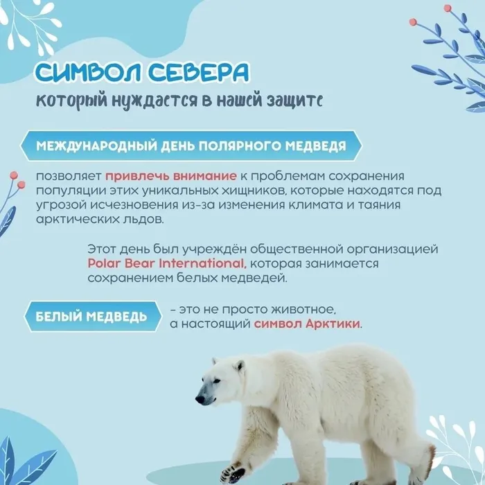 xX0FxRhbfvoejIEn4g1ZfZ7sHku3NzxEvvy1hLIvH_nZoltfs8jTMff-r8VIOLzOcB048ihSkUkvbcsMkgefKPuR